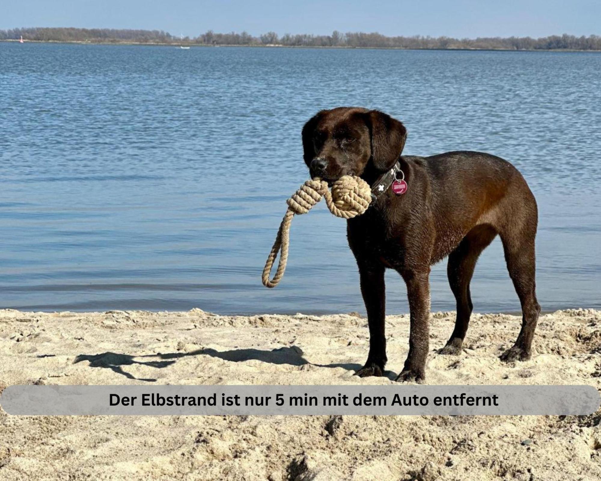 Lodge Of Africa - Einzigartige Themenzimmer, Eingezaeunten Garten, Sauna, Whirlpool & Kamin, Hunde Willkommen, Gasgrill, Voll Ausgestattete Kueche, Grosser Essbereich, Hamburg & Stade In Der Naehe Twielenfleth Bagian luar foto